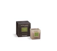 Nature Candle Linea Terra Mater - Candele profumate 210 g - Miele Bianco e Foglie di Tabacco
