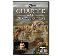 NATURE: Charlie And The Curious Otters