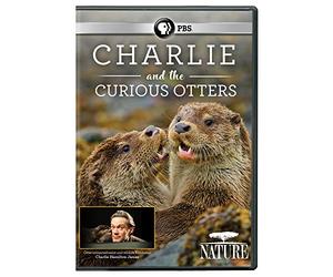 NATURE: Charlie And The Curious Otters