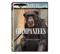 Nature: Chimpanzees - An Unnatural History by Allison Argo