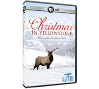 Nature: Christmas in Yellowstone