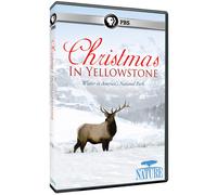 Nature: Christmas in Yellowstone (DVD)