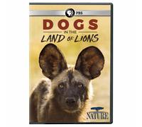 NATURE: Dogs in the Land of Lions DVD (DVD)