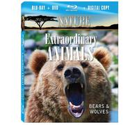 Nature: Extraordinary Animals: Bears & Wolves