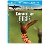 Nature: Extraordinary Birds