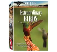 Nature - Extraordinary Birds