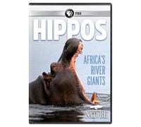 NATURE: Hippos: Africa's River Giants (DVD)