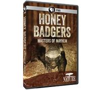 Nature: Honey Badgers: Masters Of Mayhem [Edizione: Stati Uniti]