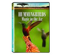 Nature - Hummingbirds-Magic in the Air