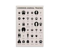 Nature Learning Educational Poster - Animal Tracks and Footprints Chart for Classroom, Homeschool and Wall Decor(Unframed,12x18inch(30x45cm))