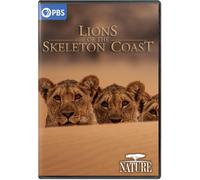NATURE: Lions of the Skeleton Coast (DVD)