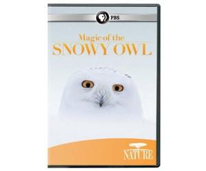 Nature: Magic of the Snowy Owl