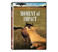 Nature-Moment of Impact