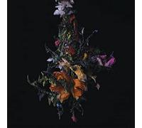 Nature Morte - Big Brave (Audio Cd)