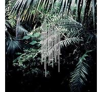 Nature Morte - Nm1