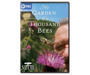 Nature: My Garden of a Thousand Bees (DVD)