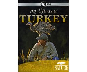 Nature: My Life as a Turkey