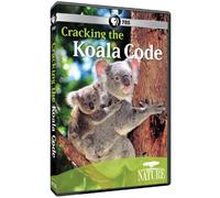 Nature - Nature: Cracking The Koala Code [Edizione: Stati Uniti]
