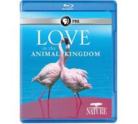 Nature - Nature: Love In The Animal Kingdom [Edizione: Stati Uniti]