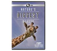 NATURE: Nature's Biggest Beasts DVD (DVD)