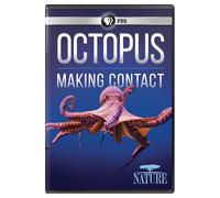 NATURE: Octopus: Making Contact DVD (DVD)