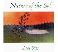 Nature of the Sol