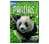 NATURE: Pandas - Born to Be Wild (DVD)