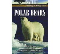 Nature Polar Bears