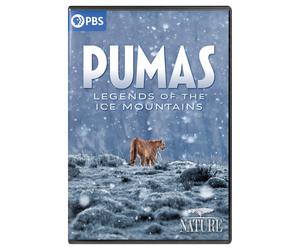 Nature: Pumas - Legends Of The Ice Mountains (DVD)