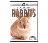 NATURE: Remarkable Rabbits (DVD)