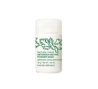 NATURE REPUBLIC Natural Made Artemisia Enzyme Powder Wash 45 g