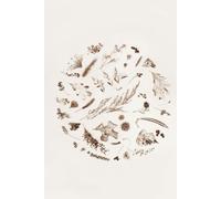 Nature’s Cycle (Earthy Botanical Mandala Notebook): A Minimalist Vintage-Style Journal for Mindfulness, Creative Reflection, and Organic Ideas