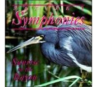Nature S Symphonies - Sunrise in the Bayou
