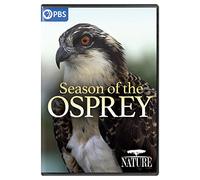 NATURE: Season Of The Osprey
