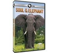 Nature: Soul of the Elephant