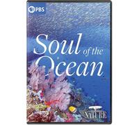 Nature: Soul Of The Ocean (DVD)