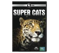 Nature: Super Cats DVD (DVD)