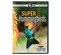 Nature: Super Hummingbirds
