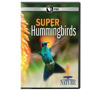 NATURE: Super Hummingbirds DVD (DVD)