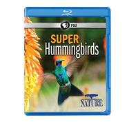 Nature: Super Hummingbirds [Edizione: Stati Uniti]