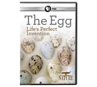 NATURE: The Egg: Life's Perfect Invention DVD (DVD) PBS Distribution