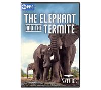 Nature: The Elephant and the Termite (DVD)