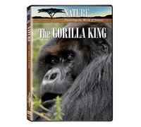 Nature the Gorilla King