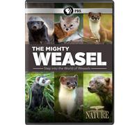 NATURE: The Mighty Weasel (DVD)