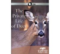 Nature: The Private Life of Deer