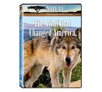 Nature: the Wolf That Changed a