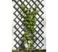 Nature Traliccio da Giardino 50x150 cm in PVC Antracite