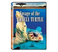 Nature-Voyage of the Lonely Turtle
