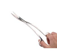 NatureHolic Scaping Scissors Wave Silver | Forbici Aquascaping da 25 cm | Forbici curve a forma di S | Taglio preciso per coperture e muschio | acciaio inox