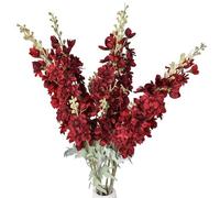 NatureMan 5 fiori artificiali di Delphinium Ajacis, 86,4 cm, stelo lungo, in seta, per tavolo, cucina, casa, giardino, feste, matrimoni, decorazione (rosso vinaccio)